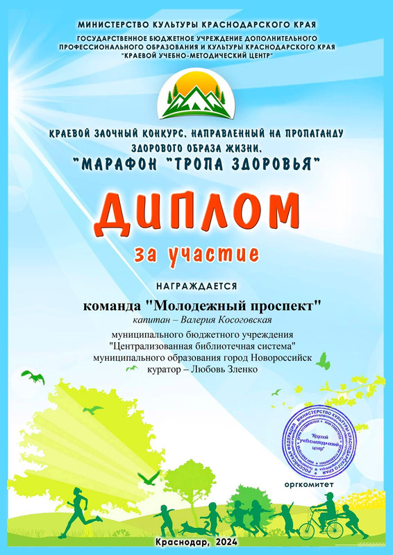 диплом МП